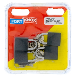 P1F10 - Iron Keyed Alike -P1F10_IP_b_T
